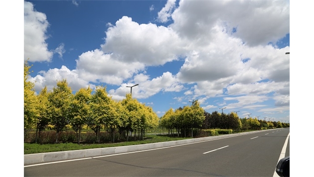 標(biāo)題：集寧察哈爾大街綠化
瀏覽次數(shù)：9433
發(fā)表時(shí)間：2020-10-17